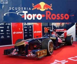 puzzel Toro Rosso STR8 - 2013 -