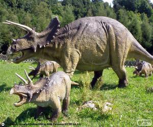 puzzel Triceratops