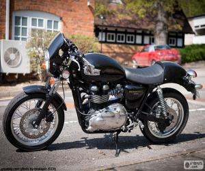 puzzel Triumph Thruxton 900, 2004