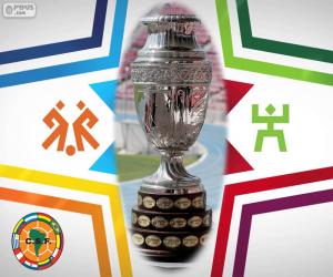 puzzel Trofee Copa America 2015
