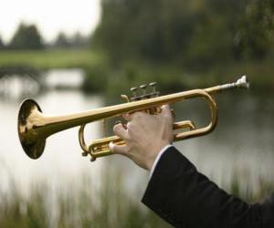 puzzel Trompet, muzikale koperen blaasinstrument