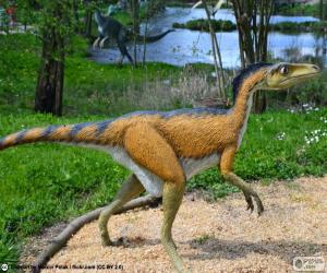 puzzel Troodon