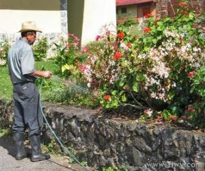 puzzel Tuinman drenken in de lente