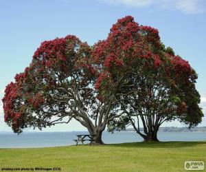 puzzel Twee bomen