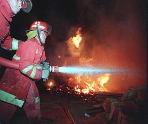 puzzel Twee brandweerlieden in actie