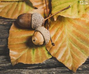 puzzel Twee eikels en de herfstbladeren