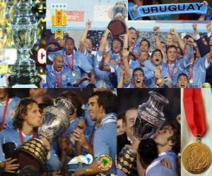 puzzel Uruguay Champion Copa America 2011