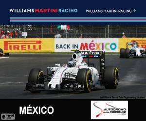 puzzel V. Bottas Grand Prix van Mexico 2015