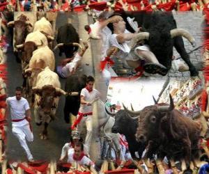 puzzel Verloop van de stieren of encierro, Sanfermines. Pamplona, &#8203;&#8203;Navarra, Spanje. San Fermínfeesten van 6 tot en met 14 juli