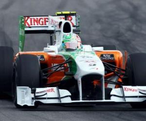 puzzel Vitantonio Liuzzi - Force India - Hockenheim 2010