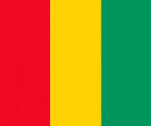 puzzel Vlag van Guinee