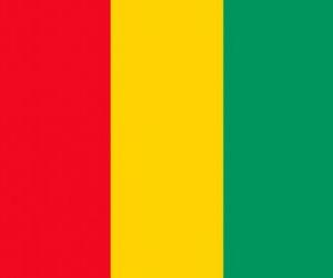 puzzel Vlag van Guinee