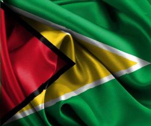 puzzel Vlag van Guyana