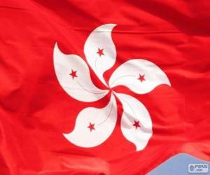 puzzel Vlag van Hongkong