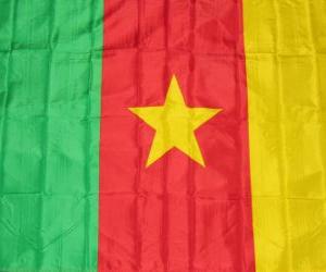 puzzel Vlag van Kameroen