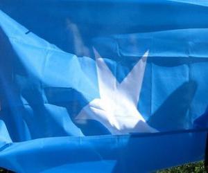 puzzel Vlag van Somalië