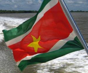 puzzel Vlag van Suriname