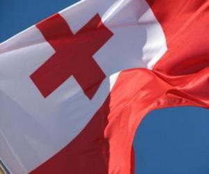 puzzel Vlag van Tonga