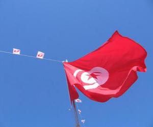 puzzel Vlag van Tunesië