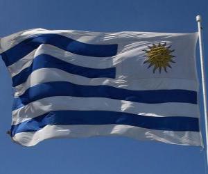 puzzel Vlag van Uruguay