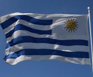 puzzel Vlag van Uruguay