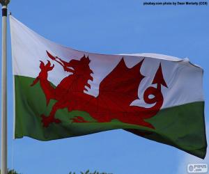 puzzel Vlag van Wales