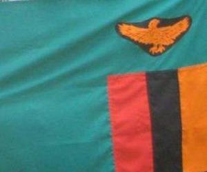 puzzel Vlag van Zambia