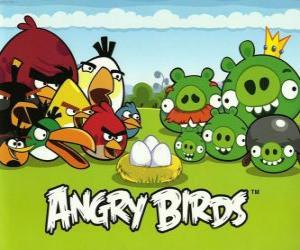 puzzel Vogels, eieren en groene varkens in Angry Birds