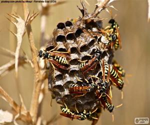 puzzel Wasp zwerm