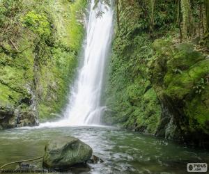 puzzel Waterval en mossen