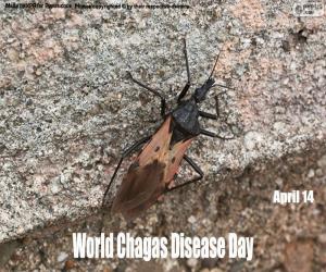 puzzel Wereld Chagas Disease Day