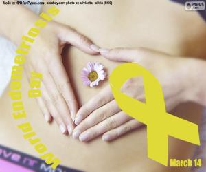 puzzel Wereld Endometriose Dag