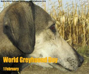 puzzel  Wereld Greyhound Day