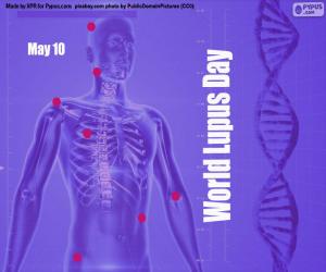 puzzel Wereld Lupus Dag