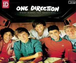 puzzel What Makes You Beautiful, One Direction