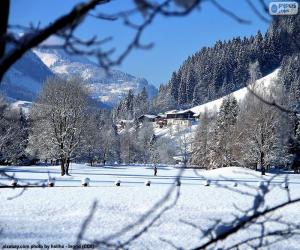 puzzel Winterlandschap