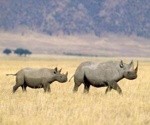 puzzel Witte neushoorn in de savanne