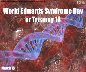 puzzel World Edwards Syndrome Day of Trisomie 18