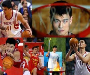 puzzel Yao Ming met pensioen gaat van professionele basketball (2011)