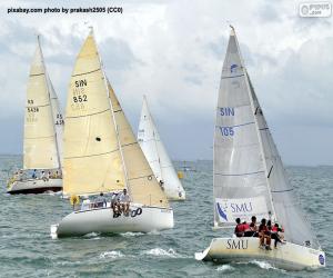 puzzel Zeilboot Regatta