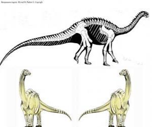 puzzel Zizhongosaurus chuanchengensis is een plantenetende sauropode dinosauriër die tijdens het vroege Jura leefde in het gebied van de huidige Volksrepubliek China.