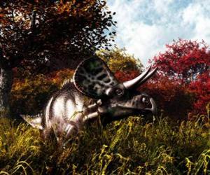 puzzel Zuniceratops was ongeveer 3 tot 3,5 meter lang en 1 meter hoog.