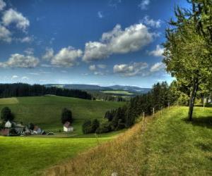 puzzel Zwarte Woud Landschap