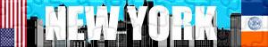 Puzzles de New York