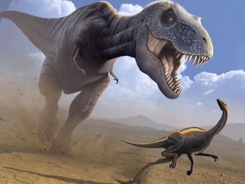 Dinosaurus 1 puzzle