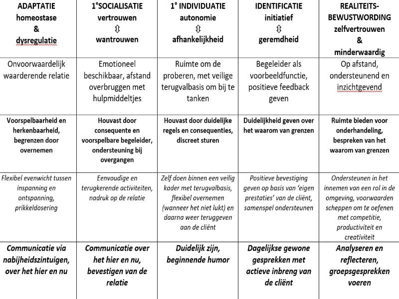 van inschatting naar ondersteuning puzzle